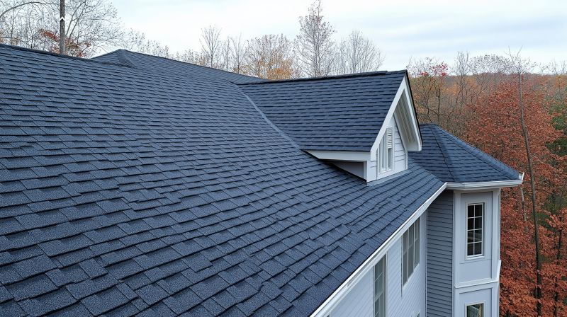 Roofing Material Options